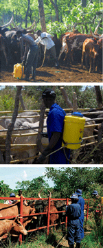 Images from the SOS programme